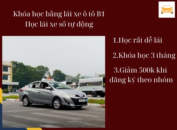 Học bằng lái xe B1